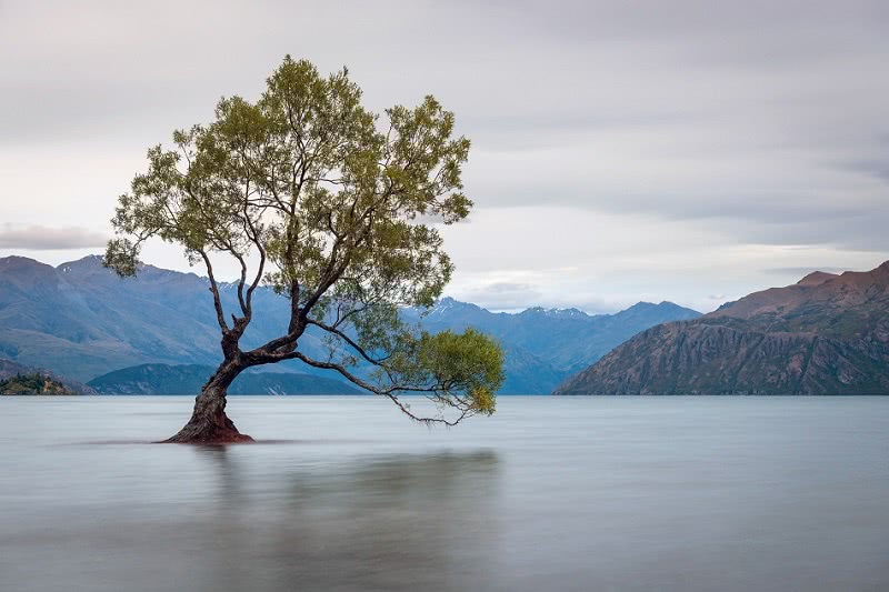 Wanaka welcomed some of the world's biggest stars for the Wrinkle in Time filming