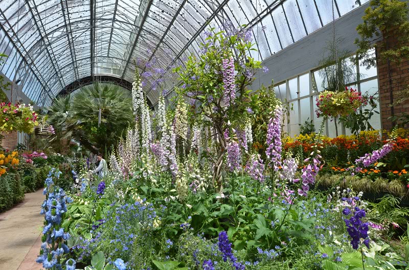 Auckland Domain and Wintergardens