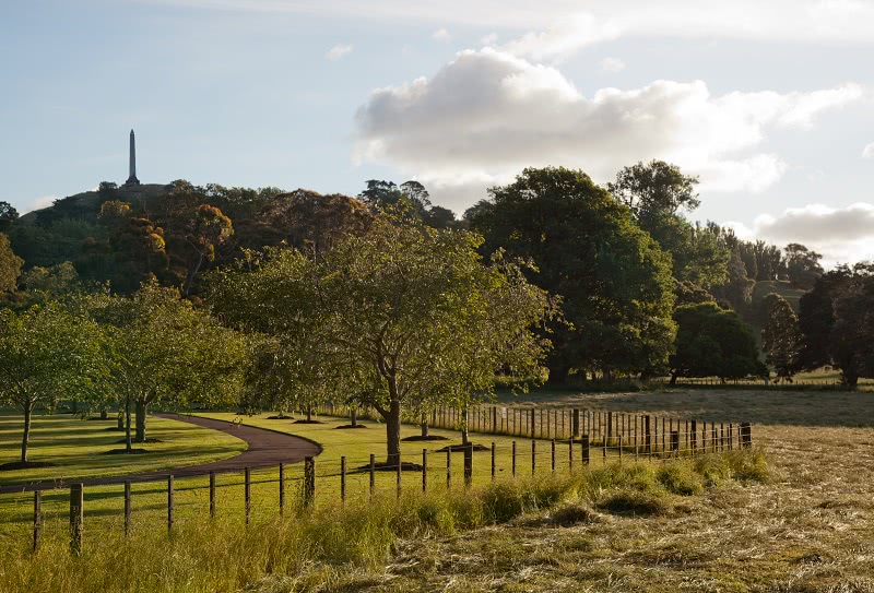 Cornwall Park and One Tree Hill