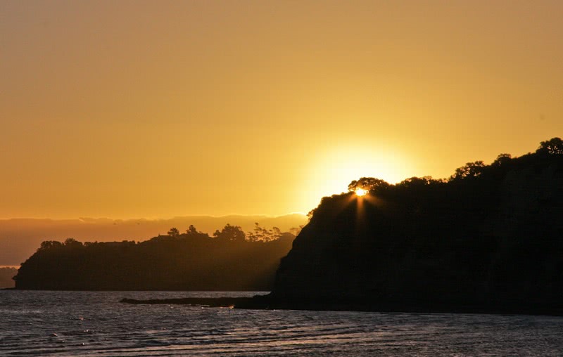 Stargazing at Shakespear Regional Park